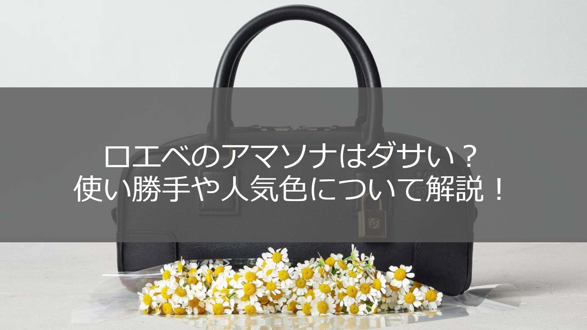 ロエベのアマソナは後悔するほどダサい？人気色や使い勝手について徹底  